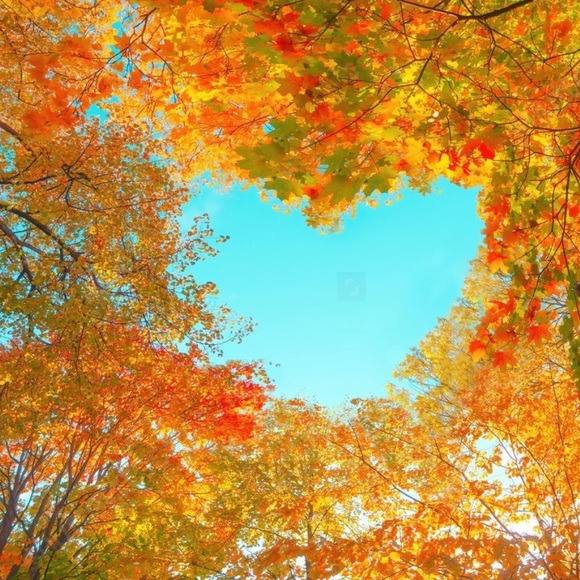 Fall Sale Make offer Please use offer Button:))) - Picture 2 of 4